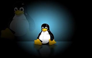 千锋Linux云主机系统管理及服务配置实战教程