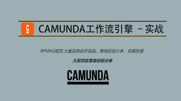 Camunda高级实战培训系列教程