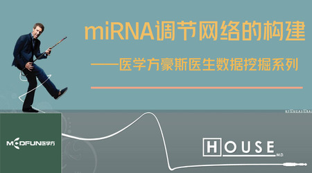 【网易云课堂】数据挖掘—miRNA调节网络的构建